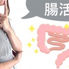 腸活とは？ダイエットや美肌と健康に効果的なやり方とは？