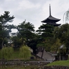 興福寺　その二　〜国宝特別公開2016　五重塔・三重塔〜