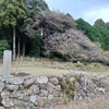 神が誘うお伊勢参り…志摩市