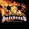 Perseverance/Hatebreed（2002）今日のTSUTAYA DISCAS日記。#303