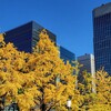 皇居周辺の「紅葉散歩」