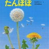 小学校図書館司書おすすめ春の科学絵本【たんぽぽ】自学にもなるたんぽぽ博士になれる絵本です！