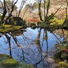 【京都】『醍醐寺』に行ってきました。 女子旅 京都観光 そうだ京都行こう 