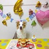 誕生日ディナー🍽️🐶