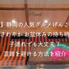 【浜松】静岡の人気グルメげんこつハンバーグさわやか お盆休みの待ち時間は？子連れでも大丈夫？混雑を避ける方法を紹介