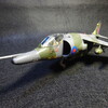 ハセガワ 1/72 ハリアー GR Mk.3 駐西独イギリス空軍第4飛行隊 所属機 完成