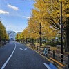 🍁紅葉さ求めて⋯🚴💨