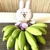 うさぎのかなぴーのバナナ🍌ちゃん観察日記 in チェンマイ