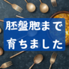 不妊治療11 サプリメントと鍼灸の効果と職人先生の腕のおかげで胚盤胞まで育ってくれました