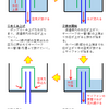 庭池アクアポニックス化計画（ベルサイフォン～完成編）