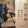 田中一村展