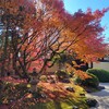 【京都】『妙顕寺』に行ってきました。 紅葉 女子旅