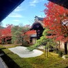 【京都】『永観堂』に紅葉を見に行ってきました。 