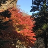 #39　紅葉狩り（榛名神社）