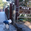 【冬の犬連れ日帰りドライブ】【城ヶ崎海岸】【門脇つり橋】【橋立つり橋】【俎岩(まないたいわ)】静岡県 伊東市