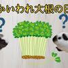 エビプリお食べてきた。かいわれ大根の日、台風15号発生？、斎藤知事の話題、一人っ子ってわがまま？～モルモット日記～