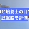 不妊治療15 タイムラプス装置付胚培養装置でAIと培養士さんの2つの目で胚盤胞を評価