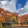 11月5日(金)新月2021 令和3年霜月(しもつき)🌑10月1日