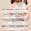 コーイケルホンディエ🐶