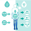 健康維持に不可欠な『水』の摂取の重要性