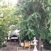 【京都】『三栖神社』に行ってきました。京都観光 女子旅 主婦ブログ 猫