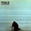 What Went Down/Foals（2015）今日のDMM月額レンタル日記。#19