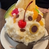 嫁と一緒に🍨いざ鹿児島へ vol,13 これ食べて家に帰るんや🐻‍❄️