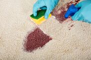 how to remove stains carpet fast