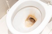 how to remove toilet limescale quickly 