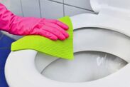 how to properly clean toilet seats remove stains 