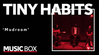Boston trio Tiny Habits perform ‘Mudroom’ in Music Box session