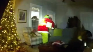 The Grinch almost steals Christmas before police catch him in action