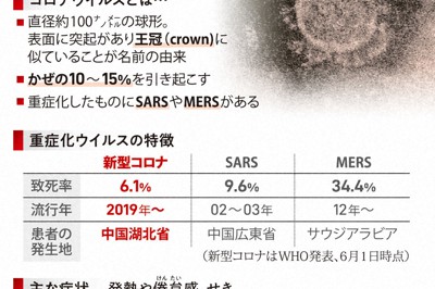 新型コロナの基礎知識（2020年6月1日現在）