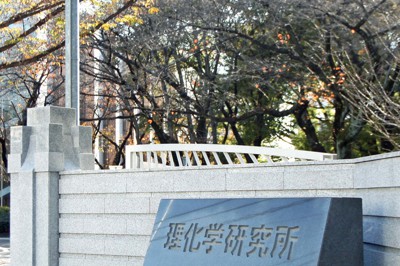 理化学研究所＝埼玉県和光市で、橋本政明撮影