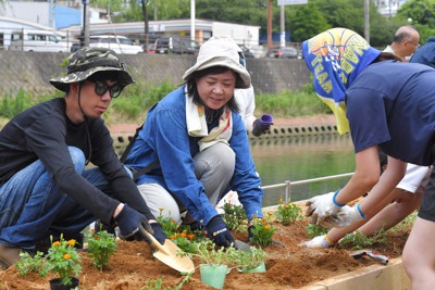 浦上川沿いの花壇に花を植える佐藤直子さん（中央）＝長崎市で2023年7月22日午前10時33分、金澤稔撮影