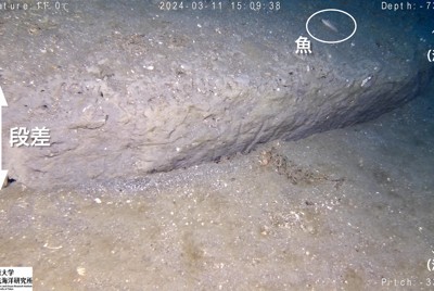 能登半島沖で撮影された海底の段差。ここ数カ月のうちにできたとみられ、能登半島地震でできた可能性がある＝東京大学大気海洋研究所提供