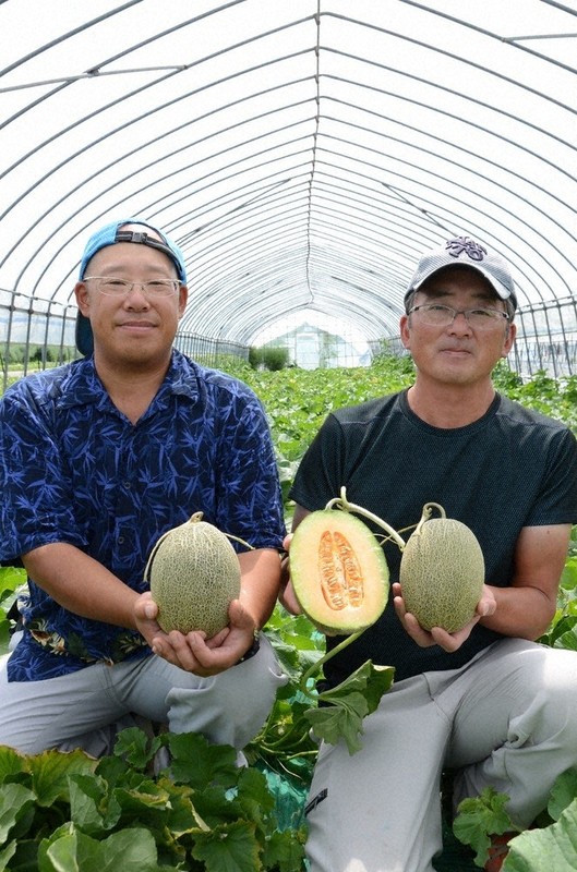 今年発売のスイカメロンを生産している及川勇一さん（右）と中川陽介さん＝北海道名寄市で2024年8月5日、石川勝義撮影