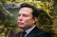 テスラのイーロン・マスク最高経営責任者＝Alexandra Citrin-Safadi/WSJ; Reuters