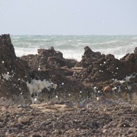 海底隆起した磯に舞う波の花。岩の白い部分が元日の能登半島地震前までは海中だった部分＝石川県輪島市門前町の黒島漁港で