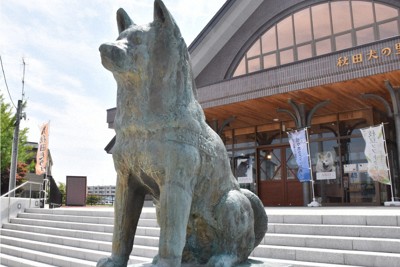 秋田県大館市の「秋田犬の里」にある忠犬ハチ公像＝2019年8月7日午前11時42分、高野裕士撮影