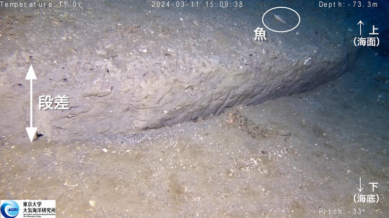 能登半島沖で撮影された海底の段差。能登半島地震でできた可能性がある＝東京大大気海洋研究所提供