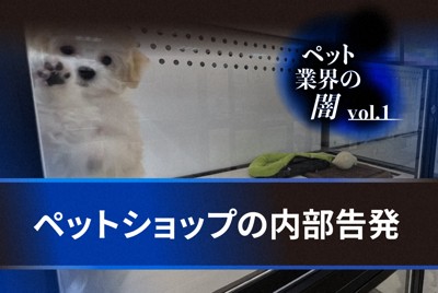 病気でも「診療せず」の証言　大手ペットショップの「内部告発」