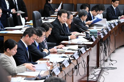 衆院憲法審査会で本格的な議論が始まり、議事を進行する枝野幸男会長（中央）＝国会内で2024年12月19日午前10時4分、平田明浩撮影