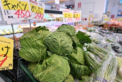 野菜の価格、もう下がらない?　専門家「壁が壊れた」　その心は