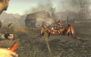 Fallout New Vegas Wild Wasteland trait