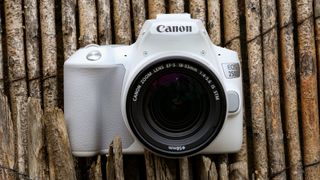 best beginner DSLR Canon EOS Rebel SL3 / EOS 250D