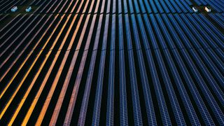 An aerial view of solar panels, in straight rows that go from the bottom of the frame to the top, with two small box-like structures in a clearing in the top left and an equal two in the top right. They are lit by the setting sun.