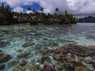 DJI Phantom 4 drone footage over Vahine Island