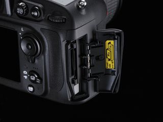 Nikon d800