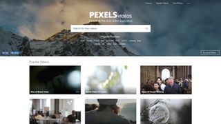 Pexels Videos